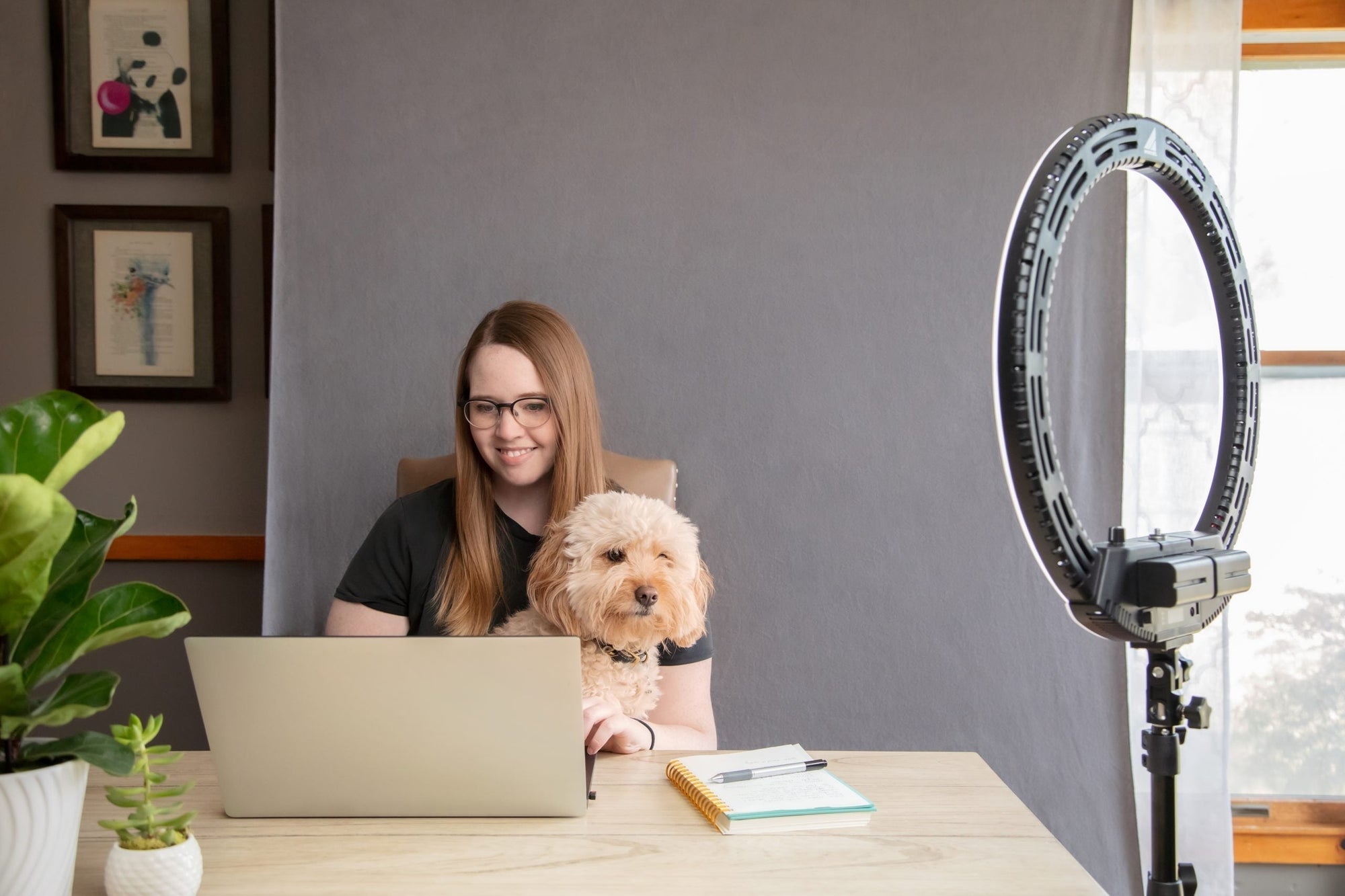 Improve Your Lighting During Video Calls at Home Using the Ring Light Kit