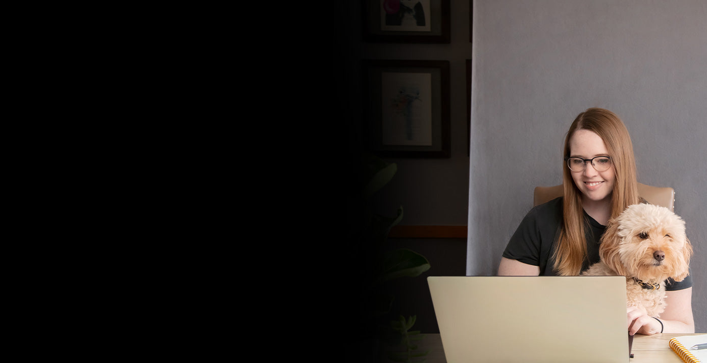 Video Conferencing Lighting Bundles