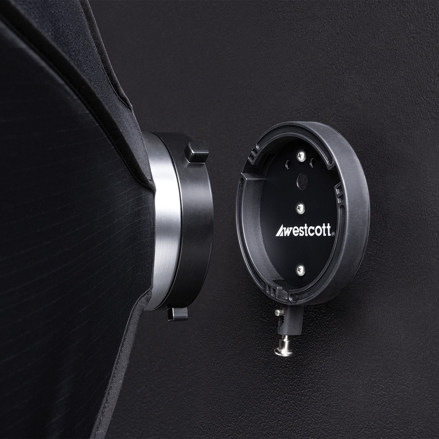 Float Wall Mount Speedring by Lindsay Adler (Bowens, Profoto, Elinchrom)