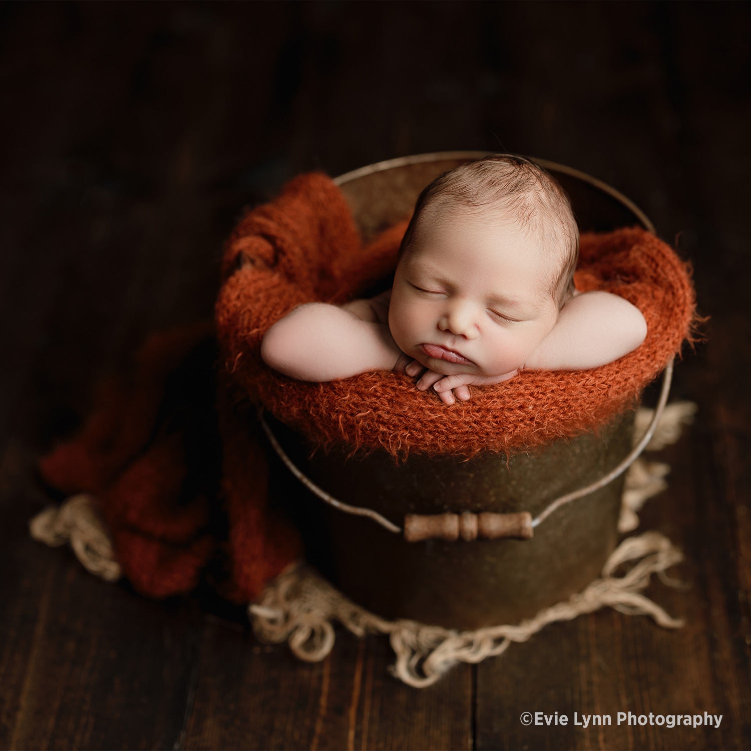 Original FJ400 Newborn Portrait Lighting Kit