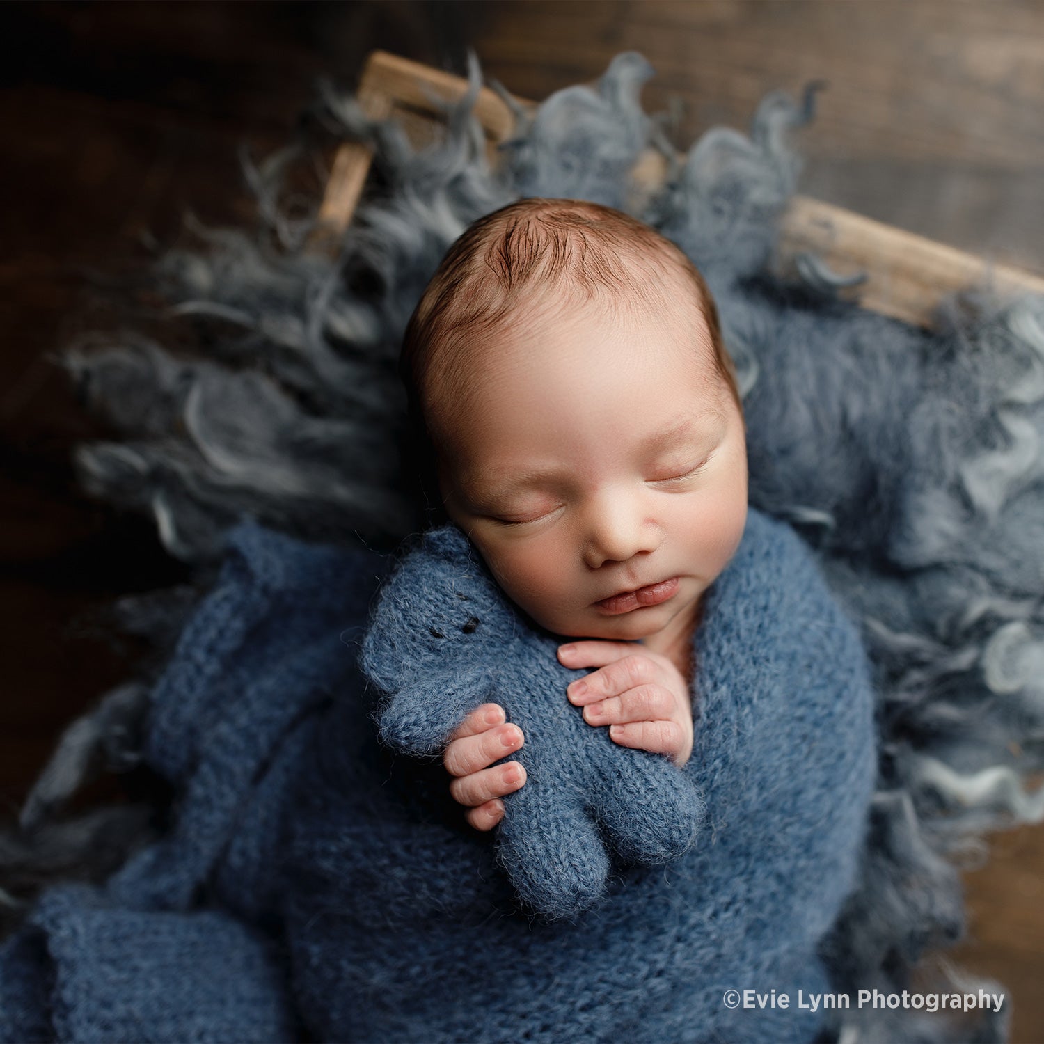Original FJ400 Newborn Portrait Lighting Kit