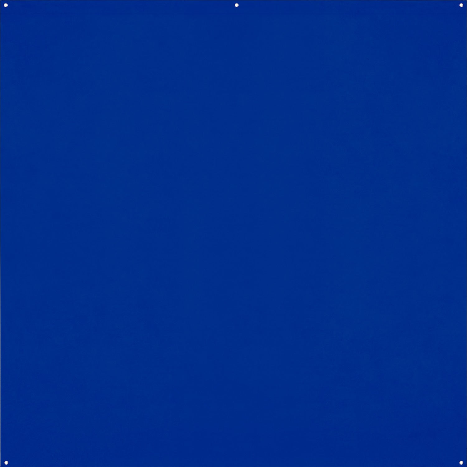 Wrinkle-Resistant Backdrop - Royal Blue / Chroma-Key Blue (8' x 8')