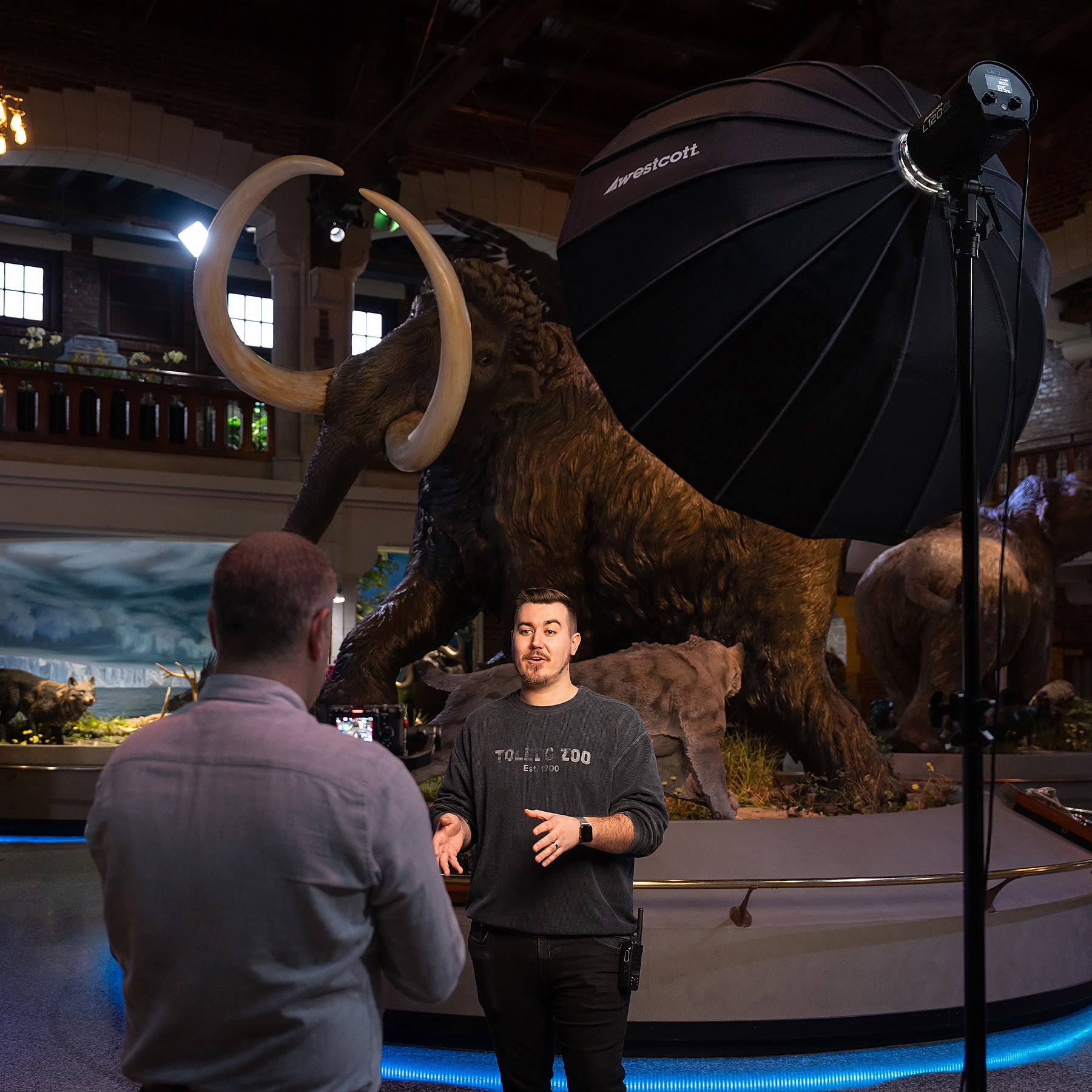 L120-B LED Video Light with Rapid Box Switch Modifiers