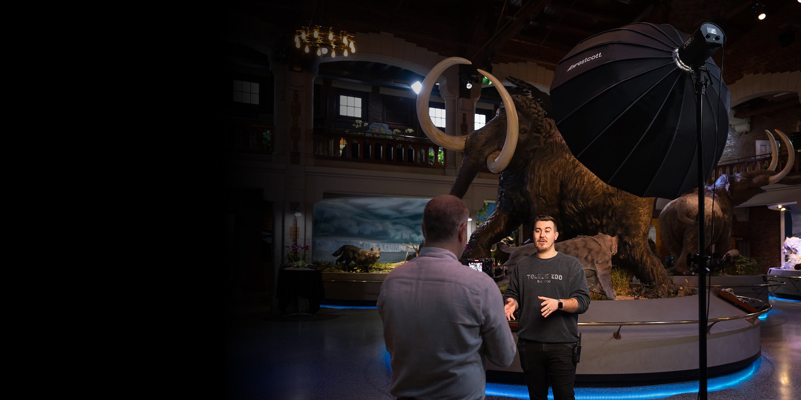 L120-B LED Video Light with Rapid Box Switch Modifiers