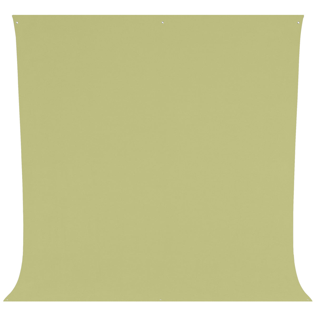 Wrinkle-Resistant Backdrop - Light Moss Green (9' x 10')