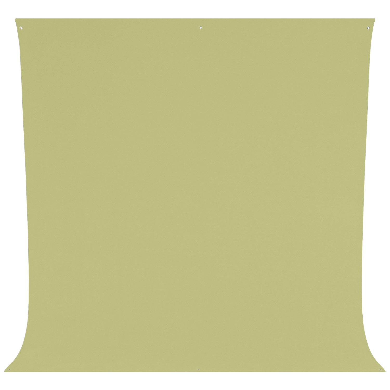 Wrinkle-Resistant Backdrop - Light Moss Green (9' x 10')