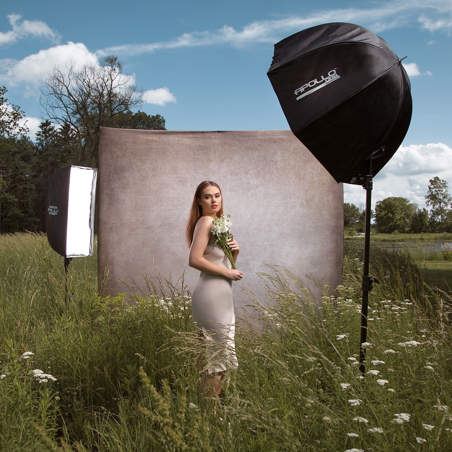 Apollo Strip Softbox with 40-Degree Grid (12" x 36")