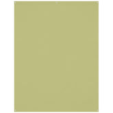 X-Drop Wrinkle-Resistant Backdrop - Light Moss Green (5' x 7')
