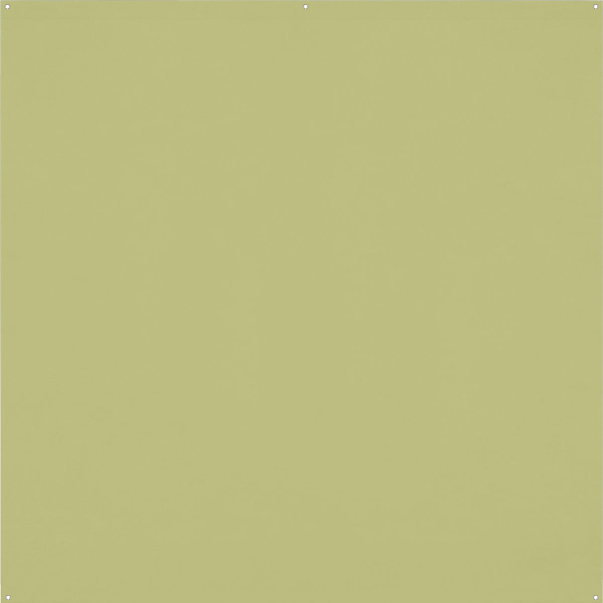 X-Drop Pro Wrinkle-Resistant Backdrop - Light Moss Green (8' x 8')