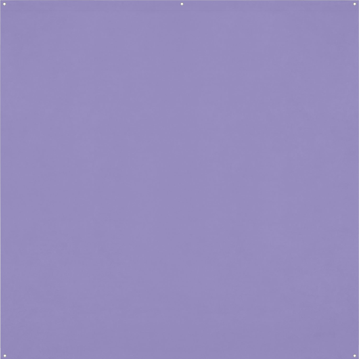 Purple Construction Paper Texture Picture, Free Photograph