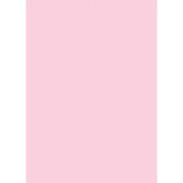 D0012-PK - X-Drop Backdrop – Pink Solid Color (5' x 7')