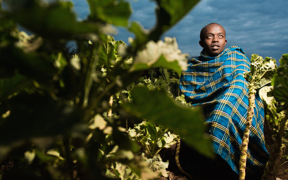 Photographing Kenya with Kole Purdy