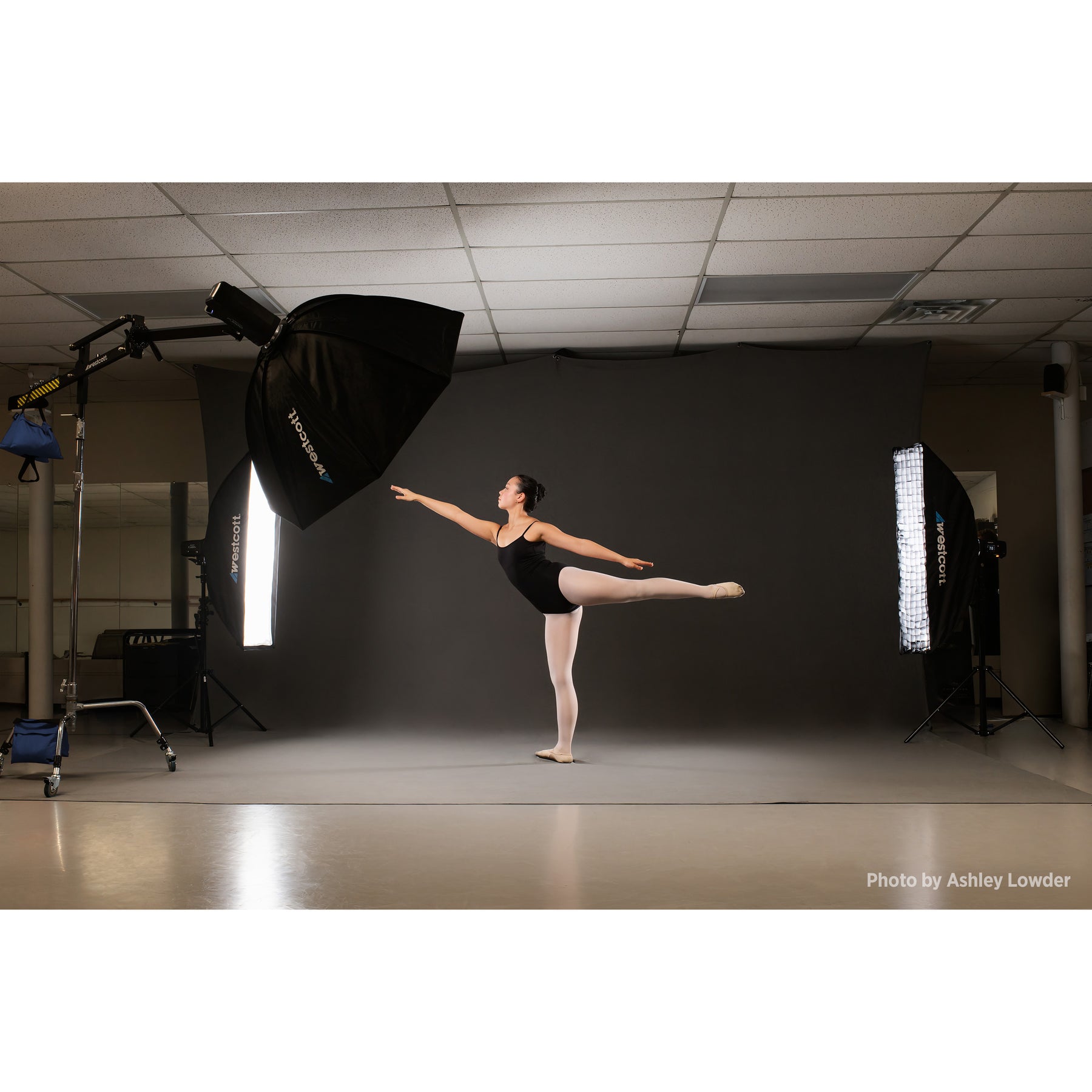 Rapid Box Switch 1x4 Fold-Flat Softbox & Grid