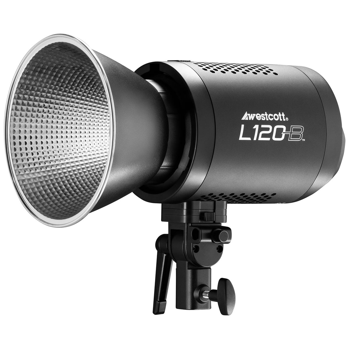L120-B Bi-Color LED Newborn Portrait Lighting Kit