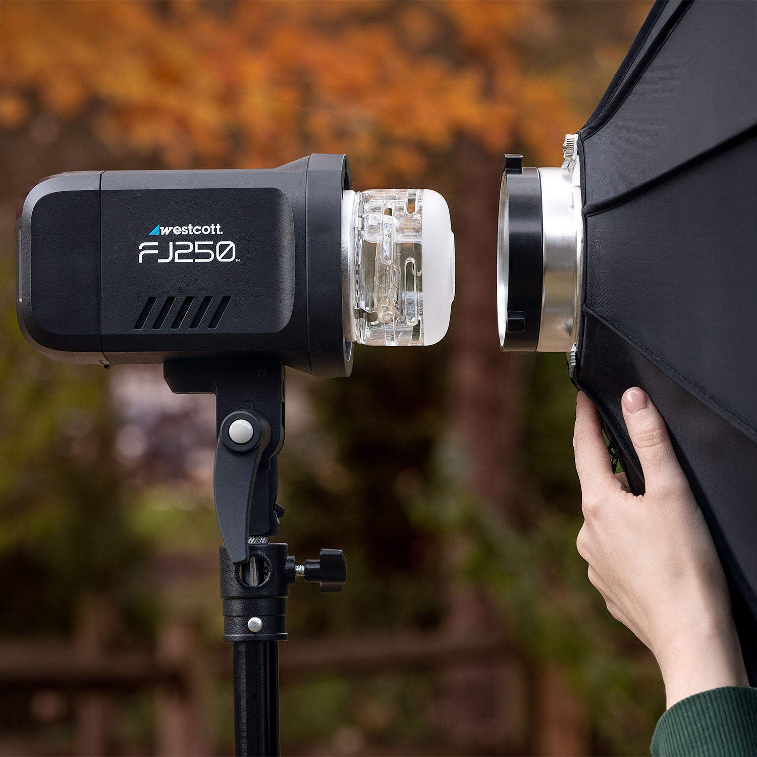 FJ250 Strobe 2-Light Backpack Kit with FJ-X3 Wireless Trigger