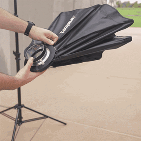 Rapid Box Switch 2x3 Fold-Flat Softbox & Grid