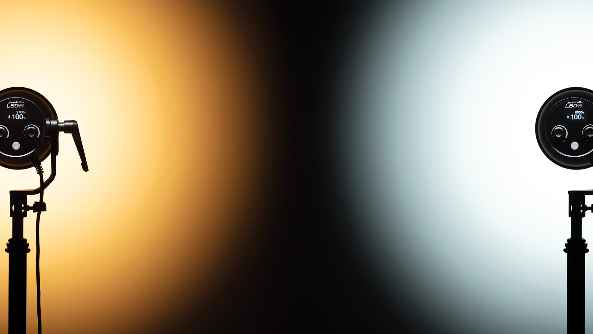 L60-B COB Lights Daylight and Tungsten Color Temperature Comparison