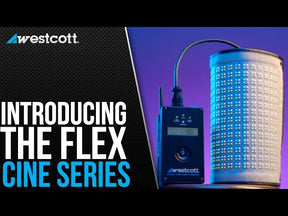 Flex Cine Bi-Color LED 2-Light Travel Kit with Mini V-Mount Batteries (1' x 1')