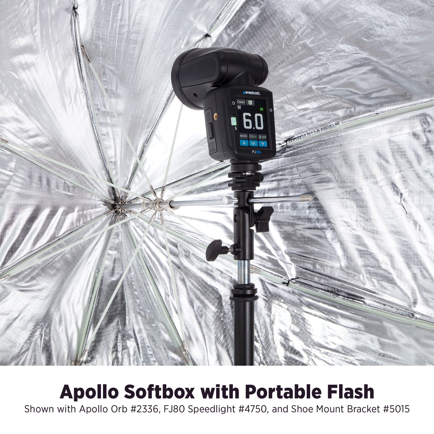 Medium Apollo Softbox with 40-Degree Grid (28")