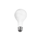 Photoflood Lamp (250 watt)
