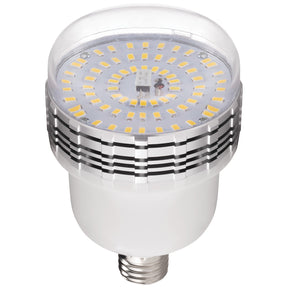 45W Daylight Dimmable LED Bulb with Tungsten Gel Cap and Remote