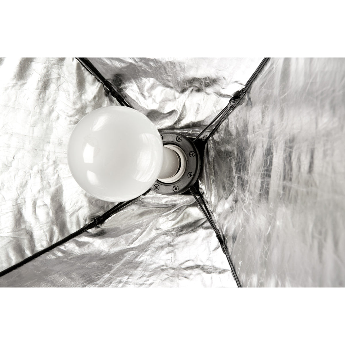 Photoflood Lamp (220V, 250W)