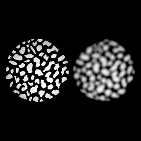 Environmental Gobo Pack for Optical Spot by Lindsay Adler (10-pack)