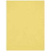 X-Drop Wrinkle-Resistant Backdrop - Canary Yellow (5' x 7')