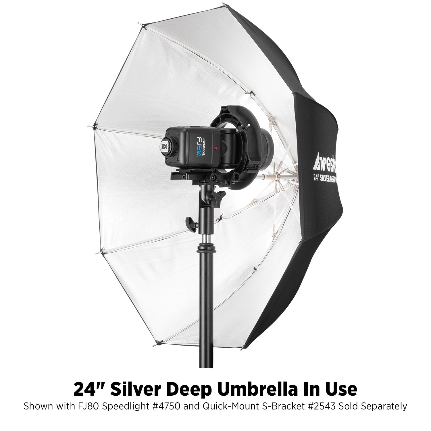 Deep Umbrella - Silver Bounce (24")