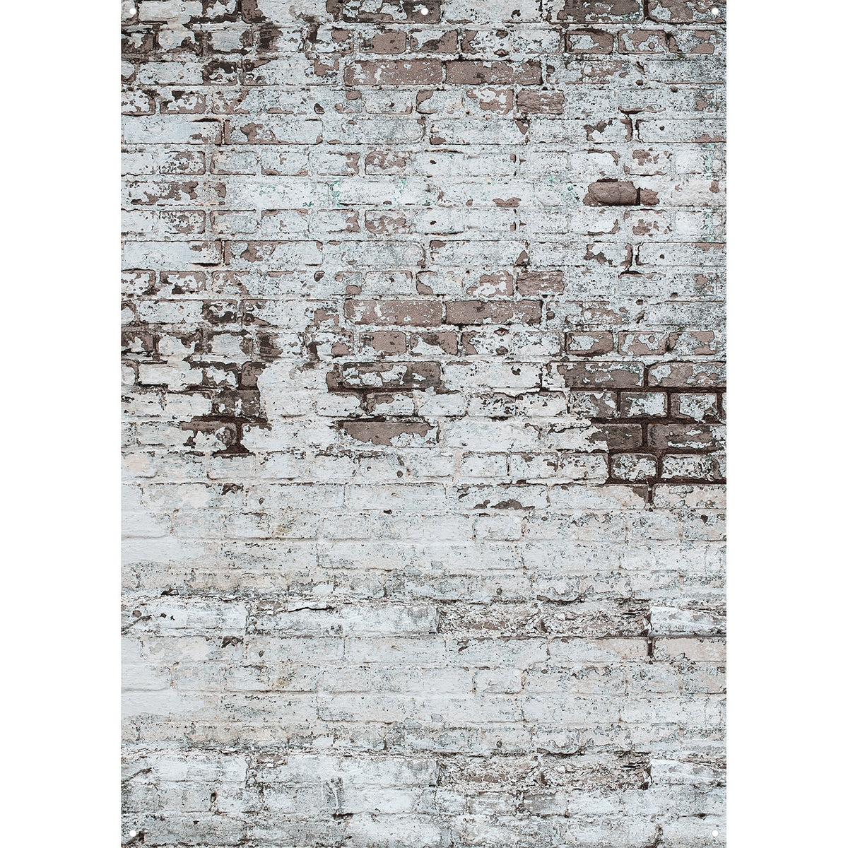 645 - X-Drop Vinyl Backdrop - Smooth Concrete by Joel Grimes (5' x 7') - X-Drop Vinyl Backdrop - Smooth Concrete by Joel Grimes (5' x 7') - 645 - X-Drop Vinyl Backdrop - Smooth Concrete by Joel Grimes (5' x 7')