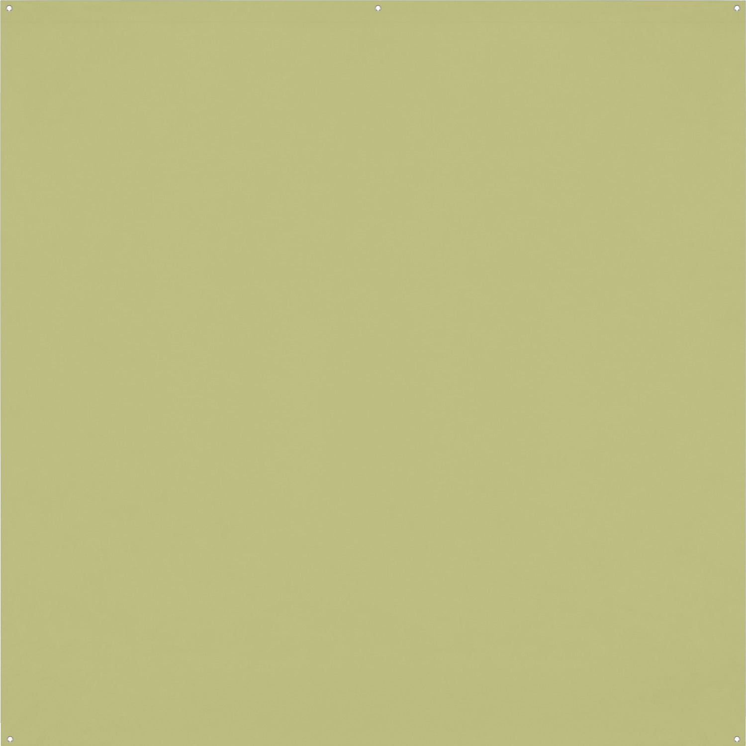 X-Drop Pro Wrinkle-Resistant Backdrop - Light Moss Green (8' x 8')