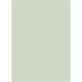 D0011-GR - X-Drop Backdrop – Light Green Solid Color (5' x 7')