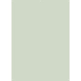 D0011-GR - X-Drop Backdrop – Light Green Solid Color (5' x 7')