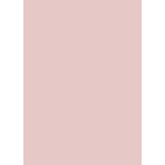 D0011-63X87-VY-RE - Solid Color Matte Vinyl Backdrop (5' x 7') - Light Red - Solid Color Matte Vinyl Backdrop (5' x 7') - Light Red - D0011-63X87-VY-RE - Solid Color Matte Vinyl Backdrop (5' x 7') - Light Red