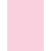 D0012-PK - X-Drop Backdrop – Pink Solid Color (5' x 7')