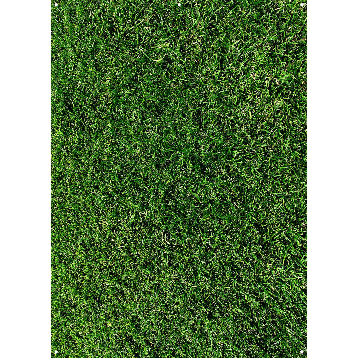 X-Drop Canvas Backdrop - Green Grass (5' x 7')