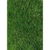 D0131 - X-Drop Backdrop - Green Grass (5' x 7') - X-Drop Backdrop - Green Grass (5' x 7') - D0131 - X-Drop Backdrop - Green Grass (5' x 7')