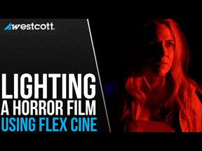 Flex Cine Bi-Color Mat 1-Light Set (1' x 1')