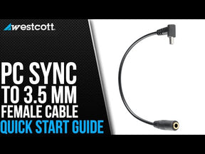 PC Sync Male to Female Mini Cable (3.5mm)